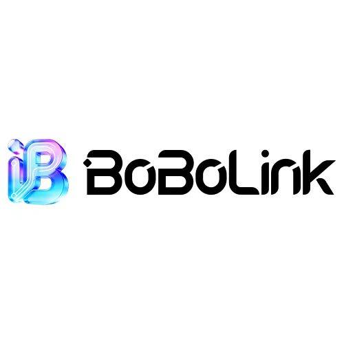 BoBoLink网络专线 logo